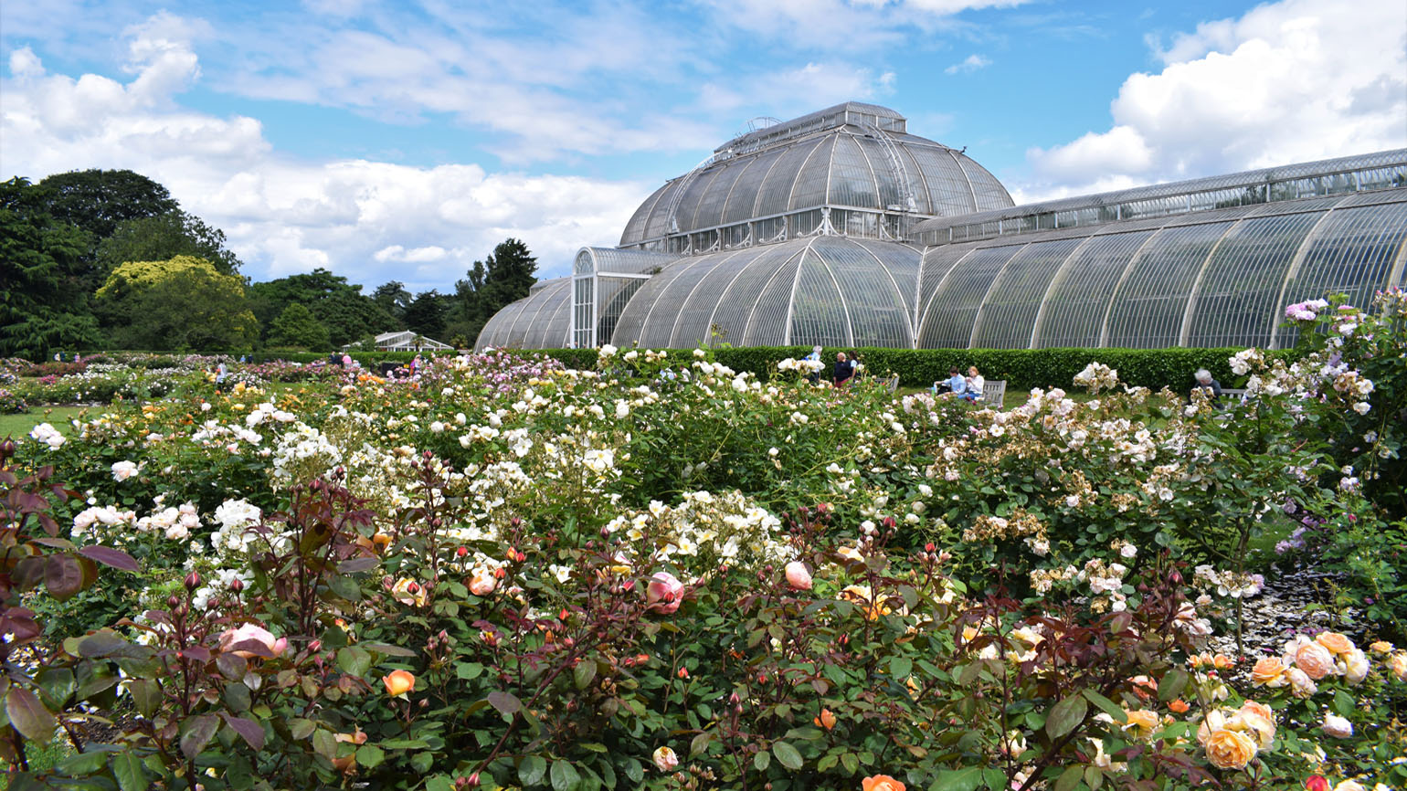 Secrets of Kew's Rose Garden Kew